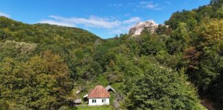Cetatea Piatra Șoimului din Peștiș