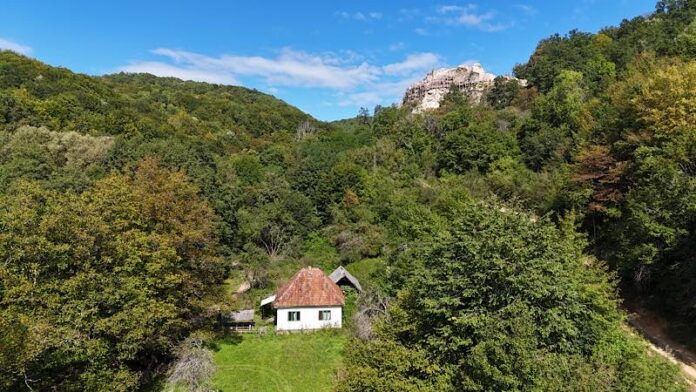 Cetatea Piatra Șoimului din Peștiș