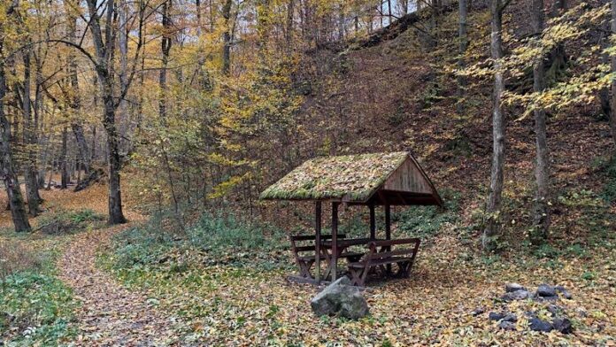 Apă minerală Pădurea Neagră Apă minerală Pădurea Neagră