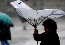 Cod galben de vânt în județul Bihor – rafale de până la 70 km/h Vânt cod galben