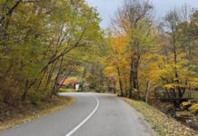 Prognoza ANM pentru Bihor: temperaturi ușor peste normal în vest în următoarele săptămâni Toamnă la Pădurea Neagră