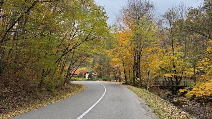 Toamnă la Pădurea Neagră