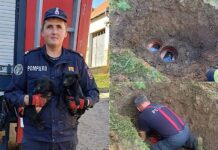 Doi pui de câine, salvați de pompieri dintr-o rețea de canalizare