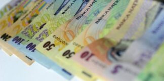 Administratorul unei firme din Aleșd, cercetat pentru evaziune fiscală. Prejudiciu de 650.000 de lei, în cadrul operațiunii „Jupiter”