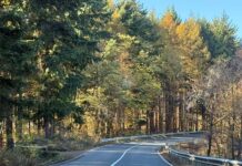 ANM: Noiembrie cu temperaturi peste normal și precipitații variabile. Cum va fi vremea până în 8 decembrie Toamnă și soare