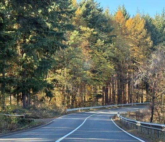 Vreme mai caldă în Bihor în următoarele săptămâni. Ce anunță prognoza pentru începutul lui octombrie Toamnă și soare
