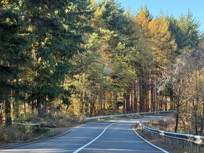 Toamnă și soare Toamnă și soare