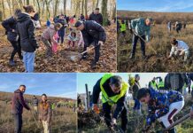 Noi acțiuni de plantare în Bihor, în cadrul celei de-a IV-a ediții „Bihorul Plantează”