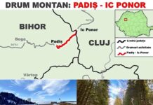 Se modernizează drumul Padiș – Ic Ponor