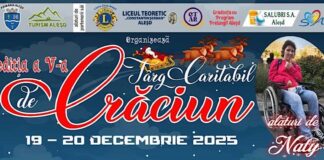 Târgul de Crăciun revine la Aleșd. Ediția a V-a, dedicată unei cauze nobile