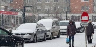 Zăpadă în orașul Aleșd