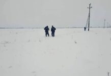 9 localităţi fără energie electrică din cauza ninsorii în Bihor Electrica intervine zăpadă