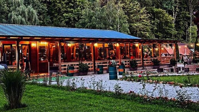 Bistro Valea Gepișului Bistro Valea Gepișului