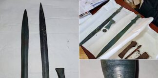 Descoperire arheologică importantă pe Valea Morii. Artefacte vechi de până la 3.500 de ani Artefacte descoperite pe Valea Morii din Peștiș