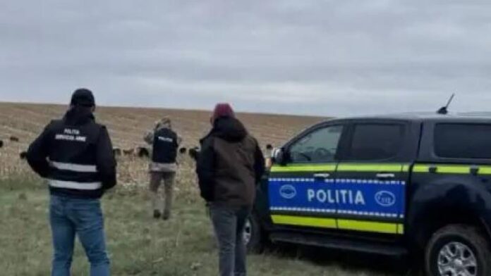 Poliţia animalelor
