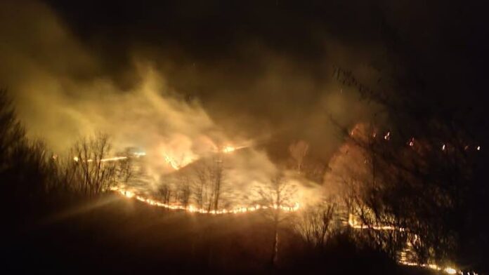 incendii de vegetație uscată