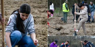 Sute de copii și părinți au plantat 25.000 de puieți la ediția a V-a a proiectului „Bihorul Plantează”