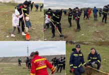 Pompierii bihoreni la a doua misiune de împădurire din luna martie Pompierii bihoreni la a doua misiune de împădurire din luna martie