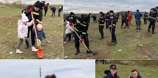 Pompierii bihoreni la a doua misiune de împădurire din luna martie