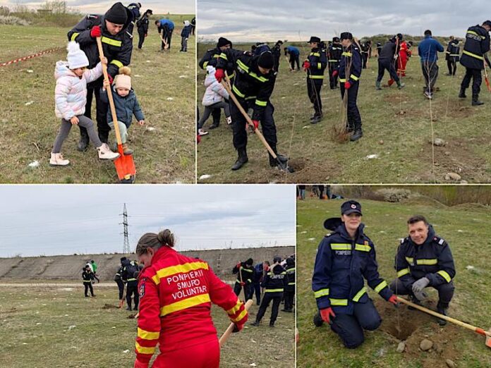 Pompierii bihoreni la a doua misiune de împădurire din luna martie Pompierii bihoreni la a doua misiune de împădurire din luna martie
