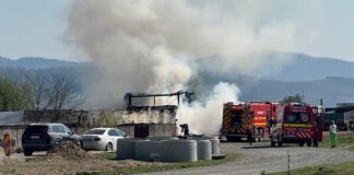 Incendiu saivan de oi Aleșd