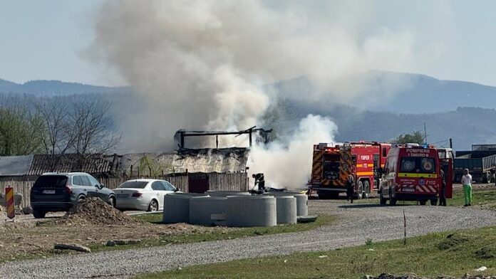 Incendiu saivan de oi Aleșd