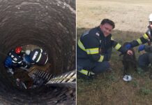 Câine salvat de pompierii bihoreni dintr-o fântână dezafectată