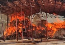 Două incendii la baloți de lucernă în mai puțin de o săptămână, în Bihor