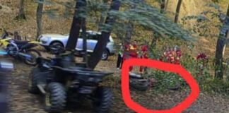 Accident mortal în zona Pădurea Neagră. Un motociclist și-a pierdut viața Accident pădurea neagră