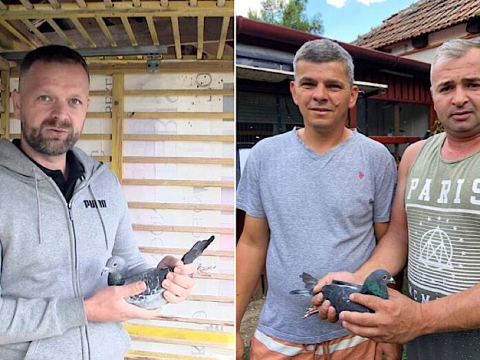 Călin Șchiop Zlibuț S. & Pop Cotuna G Călin Șchiop Zlibuț S. & Pop Cotuna G