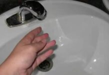 Canicula impune restricții la furnizarea apei potabile în Pădurea Neagră Fără apă la chiuvetă
