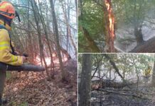 Incendiu de vegetație și în Țețchea, într-o zi cu peste 50 de intervenții ale pompierilor bihoreni