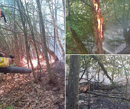 Incendiu de vegetație și în Țețchea, într-o zi cu peste 50 de intervenții ale pompierilor bihoreni