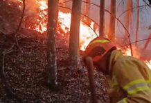 Incendiu de proporții în zona Tărcăița. Peste 60 de pompieri luptă de trei zile cu flăcările