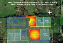 Două parcele din Parcul Industrial Aleșd scoase la licitație pentru investiții