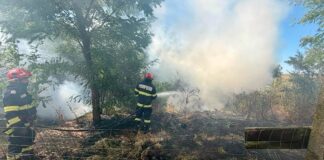 15 incendii de vegetație în două zile, în Bihor. Flăcările au afectat aproximativ 40 de hectare