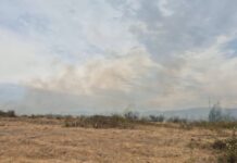 Incendiu de amploare lângă Mizieș. Flăcările au cuprins aproximativ 25 de hectare