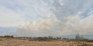Incendiu de amploare lângă Mizieș. Flăcările au cuprins aproximativ 25 de hectare