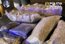 Trei persoane, arestate preventiv după ce au fost prinse cu peste 5 kilograme de canabis