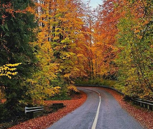 Vremea în Bihor în următoarele patru săptămâni. Anunțul meteorologilor Toamnă în Bihor vremea